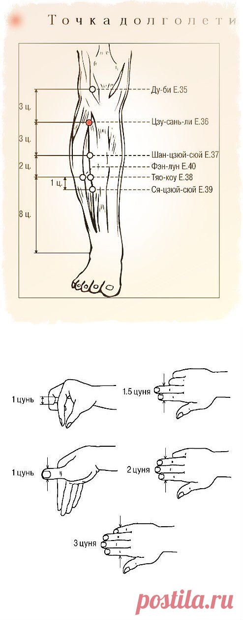 точка долголетия | Блог о красоте и здоровье