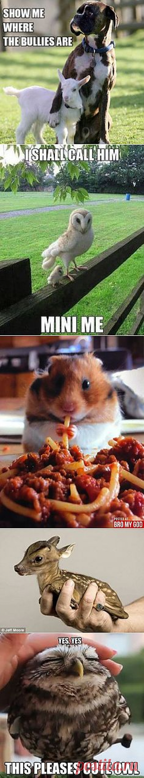 Они такие разные!