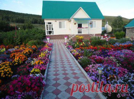 (47) Одноклассники