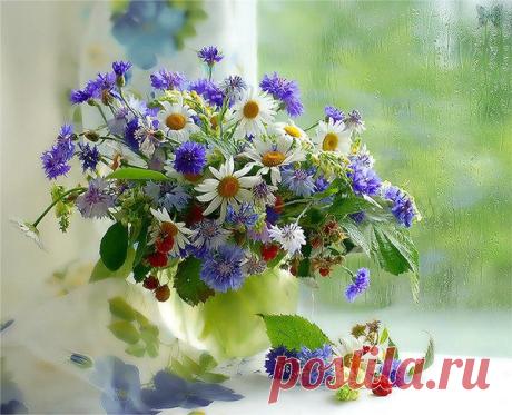 Мой Мир@Mail.Ru
