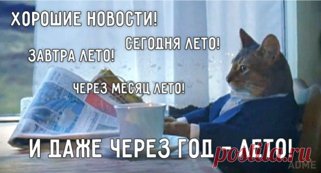 Хорошие новости!
