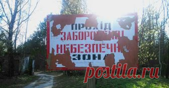 На ликвидации последствий катастрофы на Чернобыльской АЭС, произошедшей ровно 32 года назад, работали военные и гражданские специалисты со всего Советского Союза, статус ...