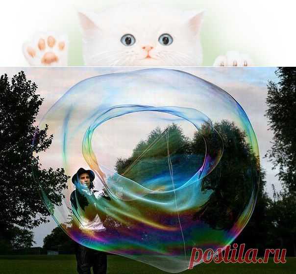 Одноклассники