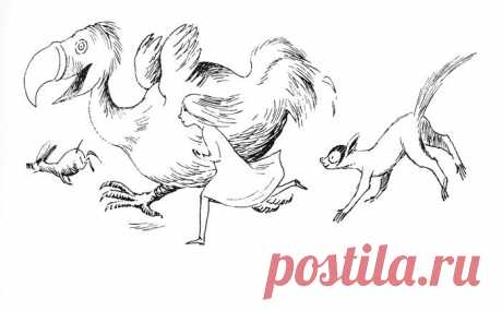 птица додо алиса в стране чудес: 4 тыс изображений найдено в Яндекс.Картинках