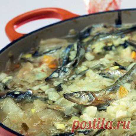 Щи из снетков рецепт – супы
