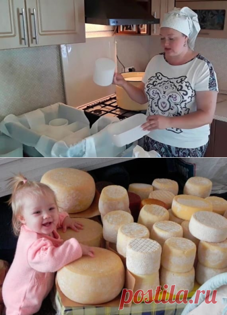 Сырные деньги. Многодетная мать зарабатывает от 200 000 руб в месяц на производстве сыра.