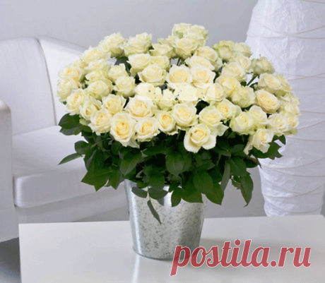 (60) Одноклассники