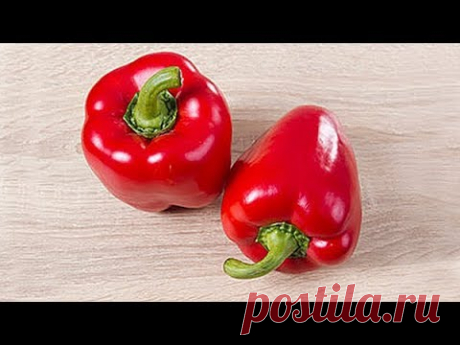5 РЕЦЕПТОВ, которые обязательно стоит попробовать! Закуски из ПЕРЦА