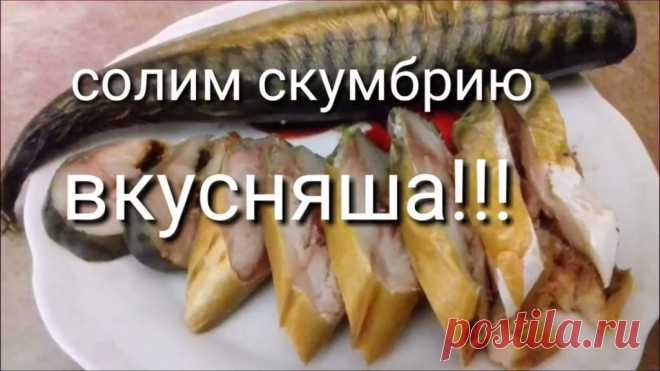 Новости - МирТесен