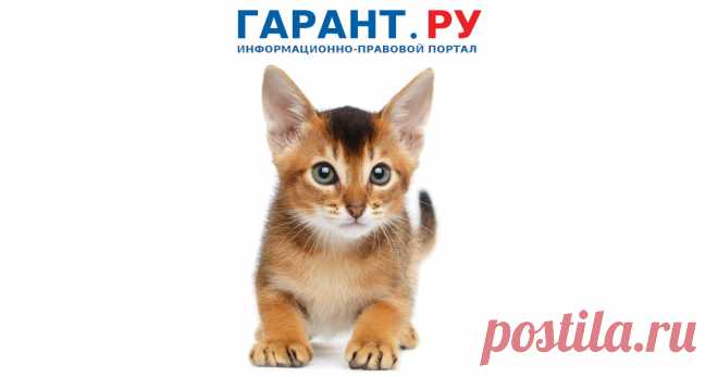 Можно ли вернуть котенка заводчику, если у его хозяйки появилась аллергия на кошек? Дело дошло до кассации, которая подтвердила вывод предыдущей инстанции – да, можно!