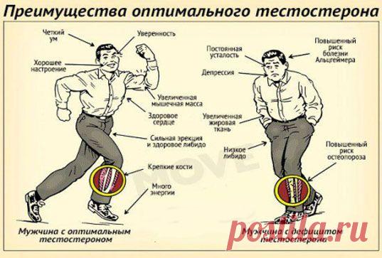 Мужские "критические дни" и их проявления