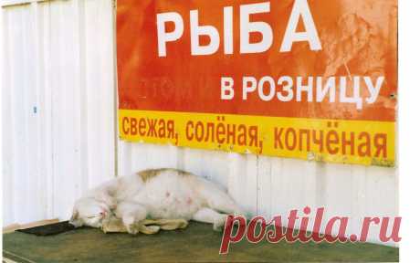 Обжир,,р ,,аловка,,,
