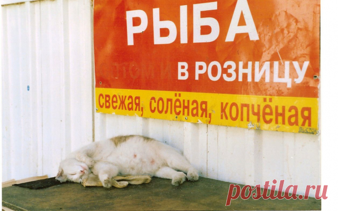 Обжир,,р ,,аловка,,,