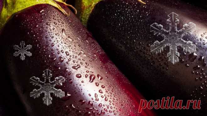 Как заморозить баклажаны, чтобы при разморозке они не превратились в горькую губку | Викухня👩🏻‍🍳 | Дзен