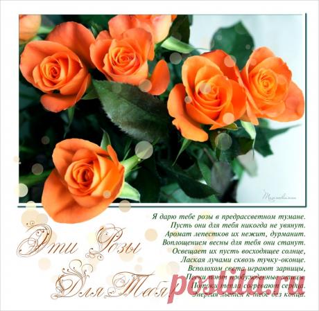 Плейкаст «~ Розы для Тебя ~»