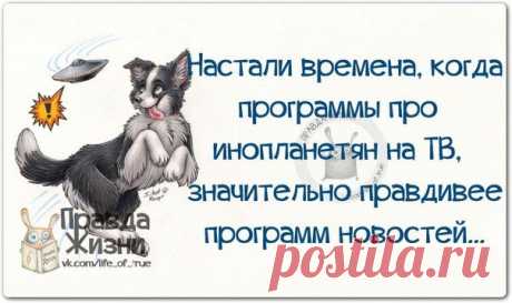 Моя семья. Счастлив тот, кто счастлив у себя дома!