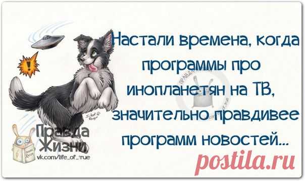 Моя семья. Счастлив тот, кто счастлив у себя дома!