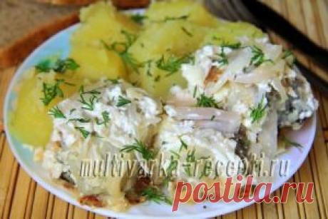 Минтай в мультиварке с луком и сметаной: рецепт с фото