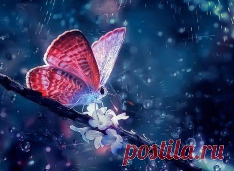 Привидение как явление