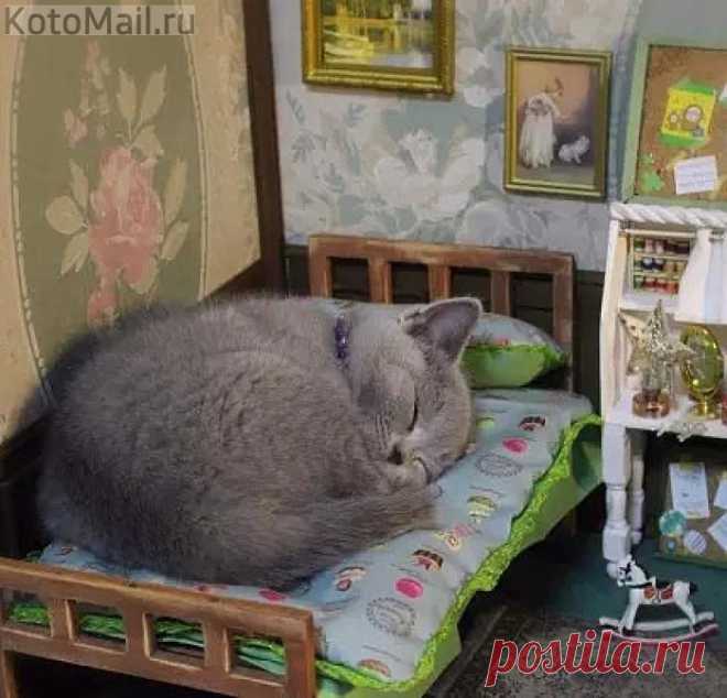 Хорошо иметь собственную комнату!