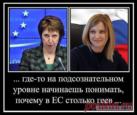 huge.jpeg (569×480)