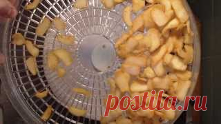 Рецепты для электросушилки