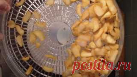 Рецепты для электросушилки