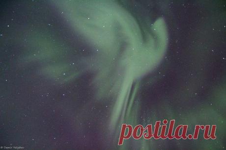 Жар-птица :) / Интересный космос