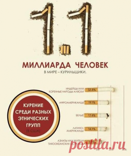 Статистика о курении. Только цифры | Мамам, женщинам, бабушкам и очень любознательным.