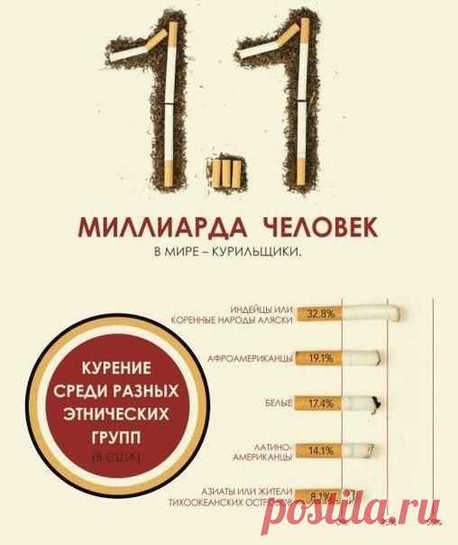 Статистика о курении. Только цифры | Мамам, женщинам, бабушкам и очень любознательным.