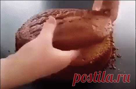 (3) Одноклассники