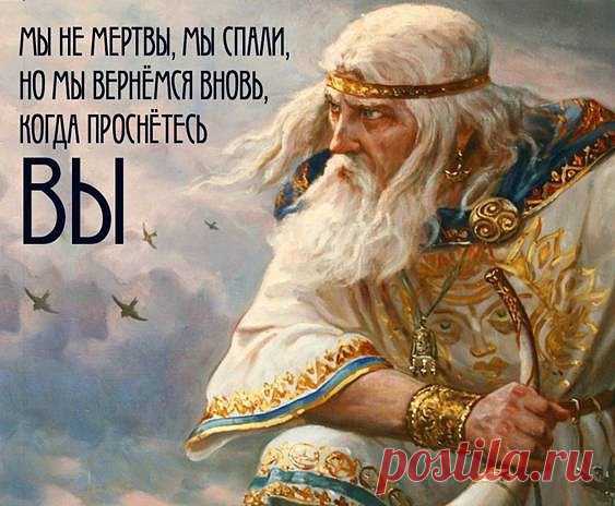 Волхвы до сих пор живы и здравы.

Теплый вечер обычного дня. В саду под яблоней сидит травница и читает старый толстый гримуар. Белая тигра развалилась в мягкой траве и лениво отгоняет бабочек, которые норовят сесть ей прямо на нос или уши. Дед Горисвет неподалеку поправляет удочки, собирается на ночную рыбалку.
Ушицы захотелось, наверное, или с соседом пообщаться, что вероятнее всего.
- Что, - поинтересовался Дед, - интересно?
Показать полностью…