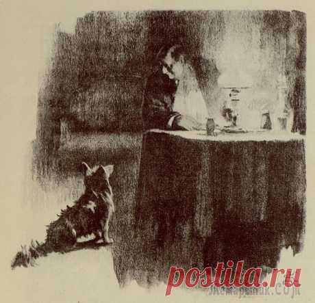 А.П. Чехов в книжных иллюстрациях. Часть 1.