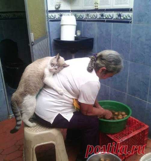 Когда приехал домой к бабуленьке :3
