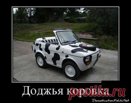 (7) Одноклассники