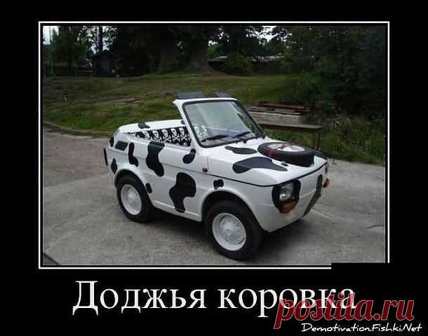 (7) Одноклассники