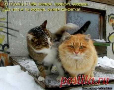 Рыжая конфетка