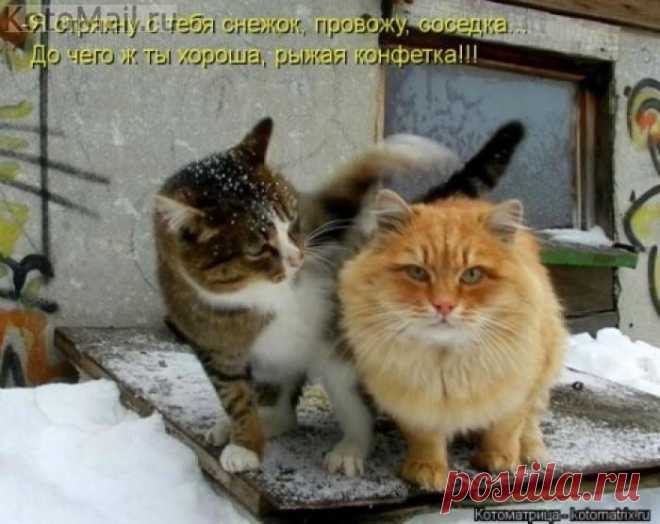Рыжая конфетка