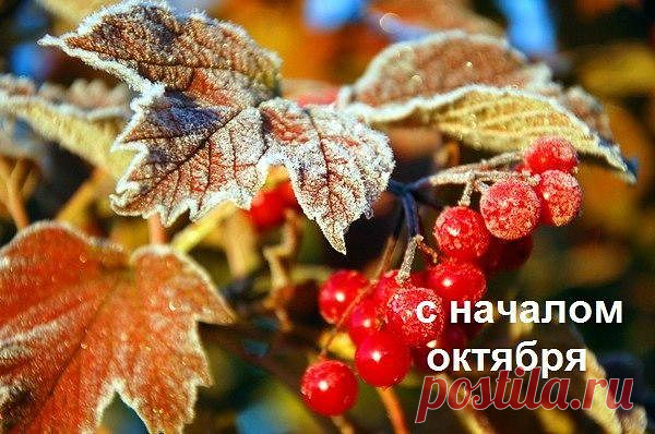 Октябрь… это, тоже осень! Счастливого Октября, друзья! Хорошего настроения в любую погоду! 🍂🧡🍂