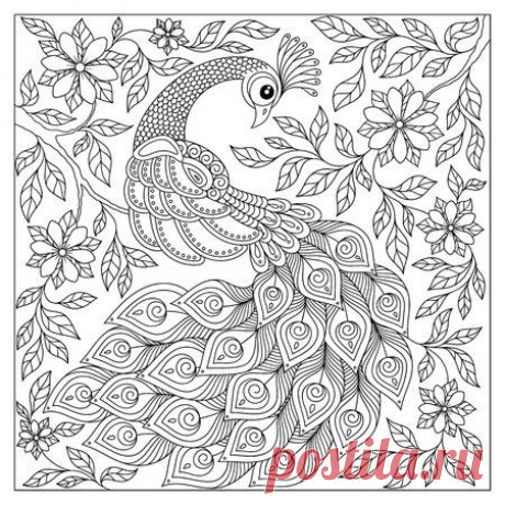 Vintage hand drawn pattern black and white doodle peacock. design. Sketch for adult antistress coloring page, tattoo, poster, print, t-shirt, invitation, cards, banners, flyers, calendars 123RF - Миллионы стоковых фото, векторов, видео и музыки для Ваших проектов.