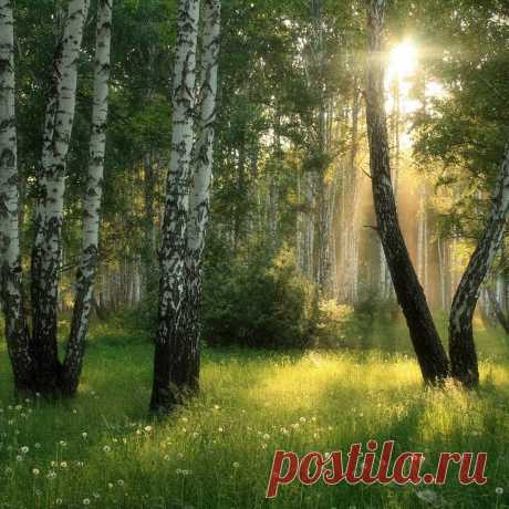 Достойно, главное достойно Любые встретить времена,...Е Евтушенко.