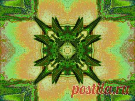 Floral Green Kaleidoscope  Free Stock Photo HD - Public Domain Pictures