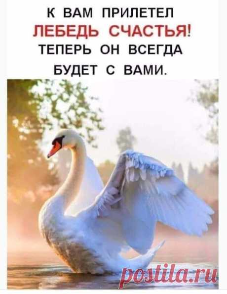 Сегодня день исполнения желаний ставь класс  на удачу