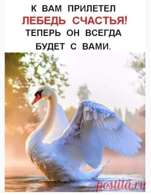 Сегодня день исполнения желаний ставь класс  на удачу
