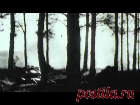 2015 02 04 - М.Воротынов. Заслуженный радист СССР (Лобня) - YouTube