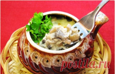 Жюльен с курицей и грибами