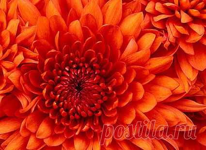 FELICE. Спецвыпуск №5М 2013