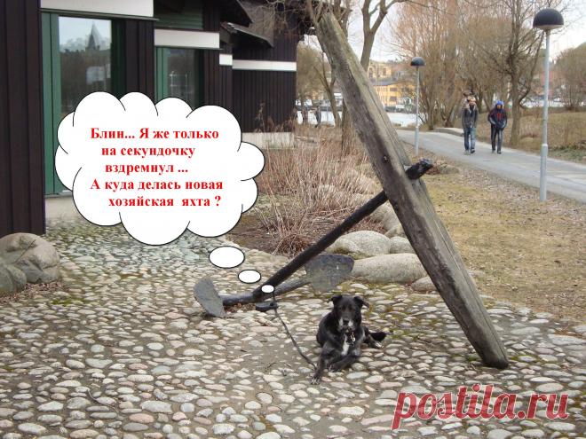 Охрана ( Стокгольм,Швеция)