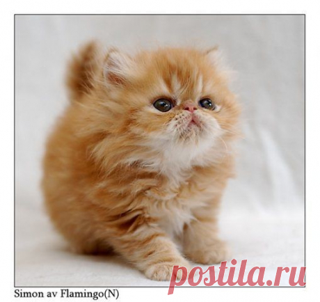 ᴼᴿᴵᴳᴵᴺᴬᴸ   SМАЙЛИКИ   (ړײ)
ღМилана ღ