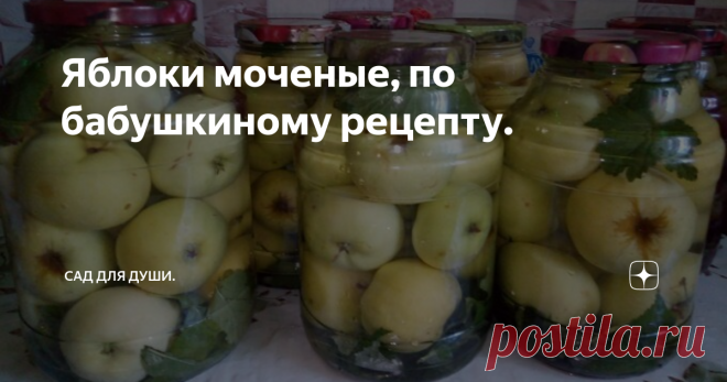 Яблоки моченые, по бабушкиному рецепту. фото из личного архива
Хотя рецепт простой, совсем не сложный, но яблоки получаются очень вкусные и ароматные. В моченых яблоках сохраняются все витамины и минеральные вещества на протяжении всей зимы и количество витамина С не уменьшается.
Считается, что для приготовления моченых яблок лучше всего подходят осенние сорта с зеленой или желтой окраской плодов, такие как антоновка, славянка. Но я про